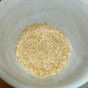 Your pulsed oats will look like this in texture.