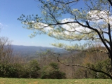 The view from Amicalola Lodge.