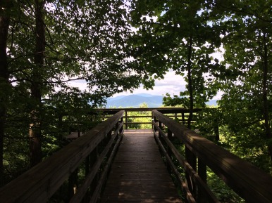 The walkway to the overlook at Black Rock Mountain.